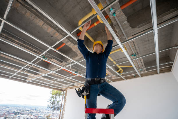 Best Local Plumber Services  in Kempner, TX